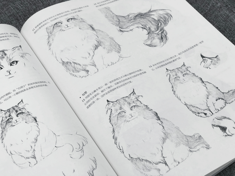New Chinese Aesthetic Line Dra - đánh giá và giá Interior Design Handbook